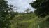 WhatsApp Image 2025-05-14 at 14.45.39 (5).jpeg